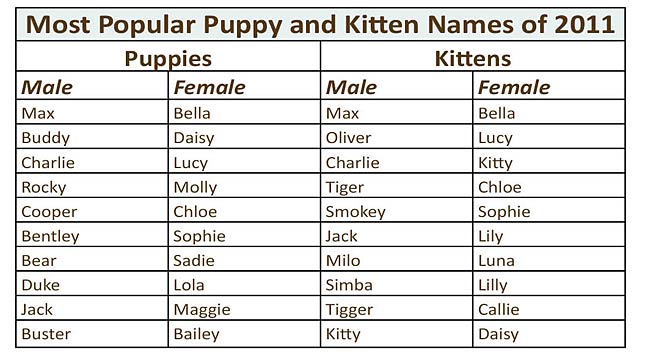 puppy and kitten names